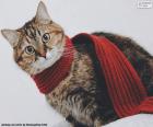 Кошка в шарфе
